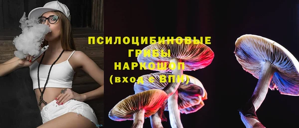 сатива Лихославль