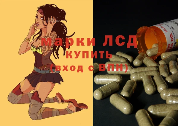PSILOCYBIN Заполярный