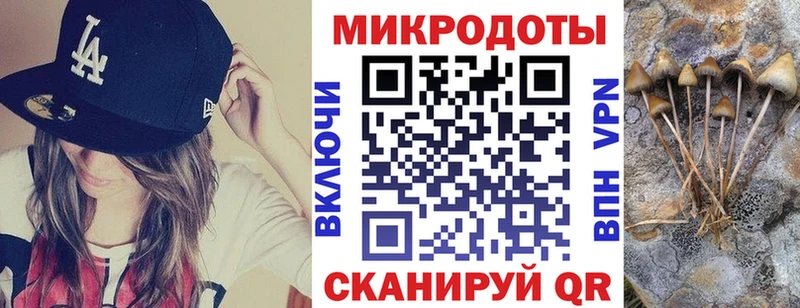 Галлюциногенные грибы мицелий Плавск