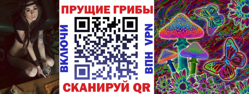 Псилоцибиновые грибы Psilocybine cubensis Плавск