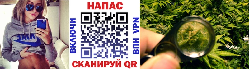 Конопля MAZAR  Плавск 
